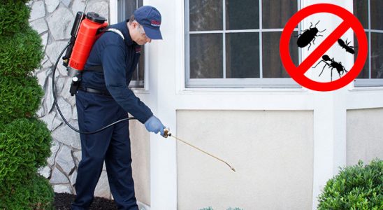 Çeşme Fare İlaçlama böcek ilaçlama ve haşere kontrolü — ilaclama-tr.com